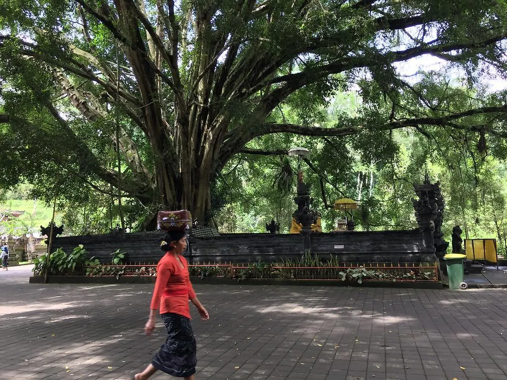 The Suris Ubud