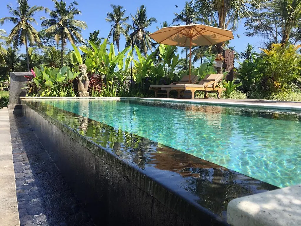 Guest house The Suris Ubud