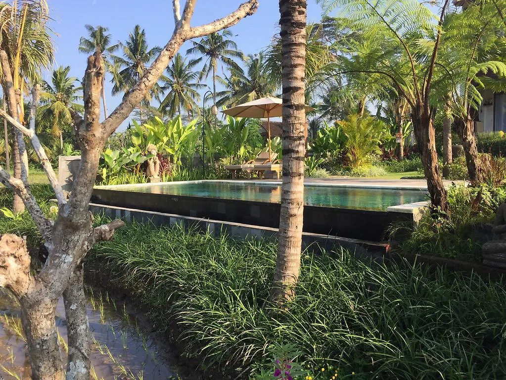 The Suris Ubud Guest house