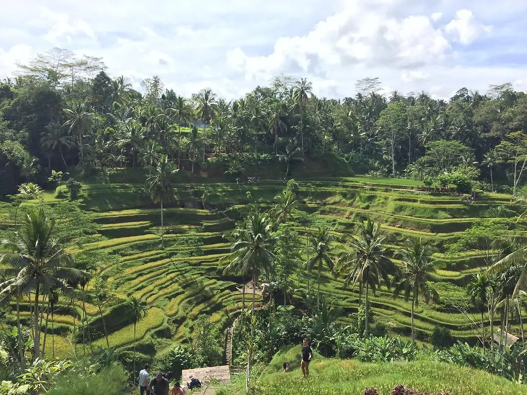 Guest house The Suris Ubud